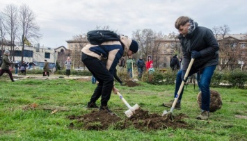 В Украине в марте планируют высадить 10 миллионов деревьев