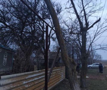 В Черноморском районе дерево обрушилось на газовую магистраль