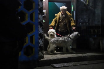 В Запорожье 10 крупных собак жили в трехкомнатной квартире: животных вывезли после решения суда, - ФОТО