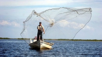 Свободу рыбе: незаконно пойманных жителей реки на Черниговщине выпустили на свободу
