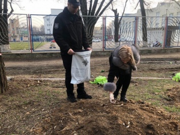 Одесский мэр верит, что кости в парк «Преображенский» подбросили активисты