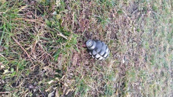 В центре Никополя нашли муляж гранаты