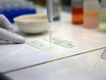 Ученые из Новосибирска изобрели портативный тест на коронавирус