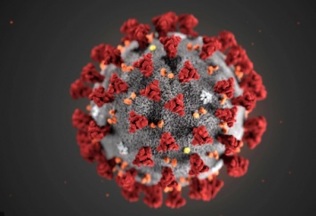 В Украине зарегистрировали первый случай коронавируса