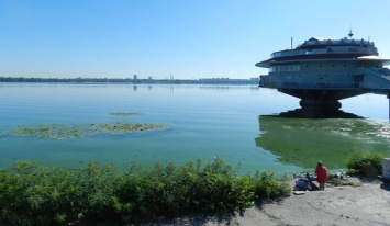 Днепровская вода не пригодна для купания