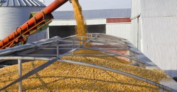 Аналитики прогнозируют рекордное мировое производство пшеницы в 2020-2021 году