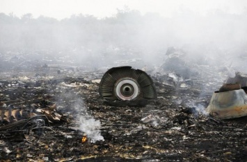 Армия Нидерландов готовилась секретно попасть в Украину сразу после крушения MH17 для защиты обломков - отчет