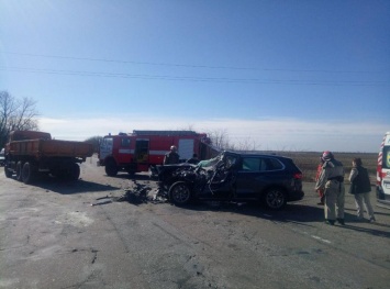 Водителя вырезали из автомобиля: в Запорожской области произошло ДТП (ФОТО)