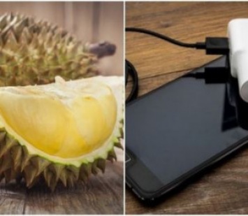 Австралийские ученые могут создать аккумуляторы для смартфонов на основе тропических фруктов