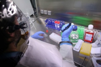 В ДР Конго выписали последнюю пациетнку с Эболой