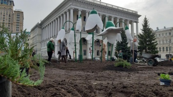 БК сделал селфи с «бетонными» цветами на Майдане. Получился совок