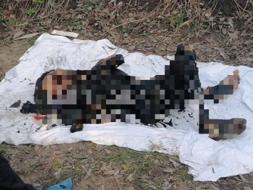 Познакомились в интернете: полиция установила личность убитой и сожженной девушки