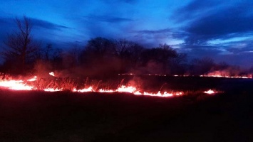 За сутки спасатели Днепропетровщины 65 раз тушили пожары в экосистемах