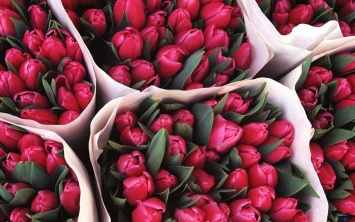 Букет к 8 марта: где в Днепре работают цветочные рынки