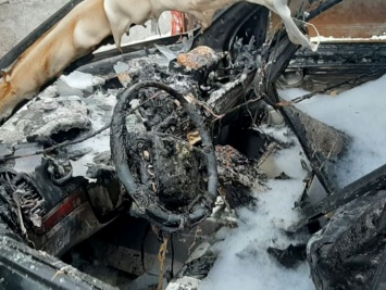 Пожар на стоянке повредил 4 автомобиля в Николаеве (ФОТО)