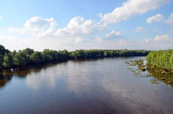 Река Ингулец в Николаевской области стала соленой на вкус