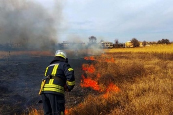 За сутки в нашей области возникло 60 пожаров в экосистемах