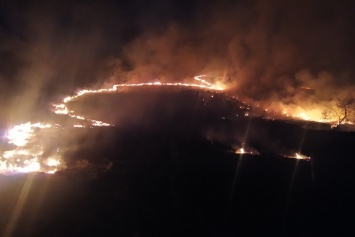 8 гектаров выжженной земли: под Харьковом потушили крупный пожар (фото)