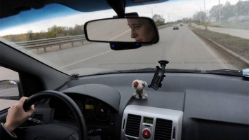 Криклий: Водителям заплатят за безопасное вождение
