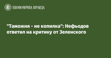 "Таможня - не копилка": Нефьодов ответил на критику от Зеленского