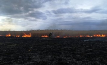 С начала года на Днепропетровщине произошло более 600 пожаров в экосистемах