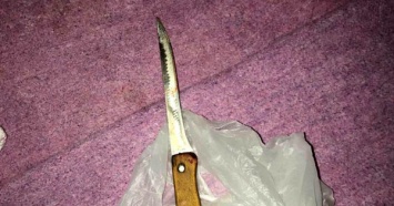 Под Харьковом 7-летняя внучка напала с ножом на свою бабушку