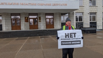 Роскомнадзор заблокировал сайт противников поправок к Конституции