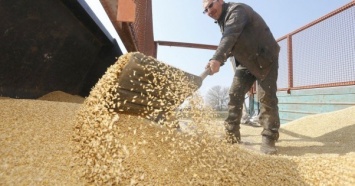 Аграрии просят Шмыгаля не допустить остановки экспорта зерновых и масличных