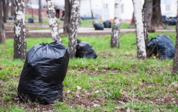 В Симферополе в субботу проведут генеральную уборку