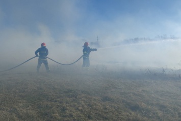 На Харьковщине спасатели тушили десятки пожаров в природных экосистемах, - ФОТО