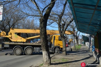 Центр для еврейских детей появится на бывшем кладбище у Преображенского парка