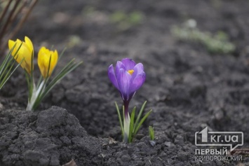 Погода в Кривом Роге 14 марта и гороскоп