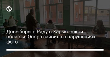 Довыборы в Раду в Харьковской области. Опора заявила о нарушениях: фото