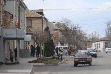 В Мелитополе озеленяют улицу