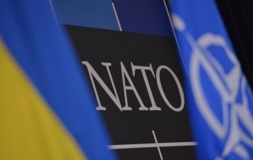 НАТО протестирует в Украине пилотную программу партнерства