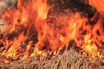 В Запорожской области возле частного дома загорелось 3 тонны сена и соломы