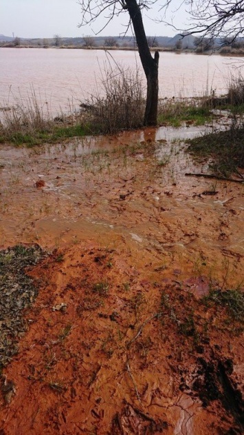 С оранжевой, красно-бурой и сиреневой водой: В окупированном Енакиево показали водоем (Фото)