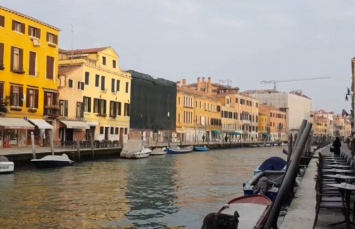 На это стоит посмотреть: в безлюдную Венецию приплыли дельфины. Фото