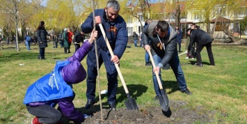 Миллионы деревьев по всей России высадят участники всероссийской акции "Сад памяти"