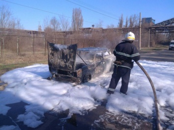 В Кривом Роге на автостоянке сгорел автомобиль, а на придомовой территории горело дерево