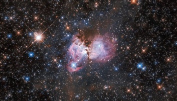 Телескоп Hubble сделал снимок туманности Тарантул