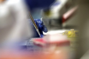 НАН анонсировал производство украинских тест-систем на коронавирус