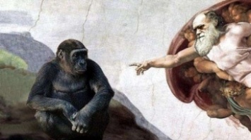 Почему люди верят в Бога, а не в теорию Дарвина - ученые дали ответ