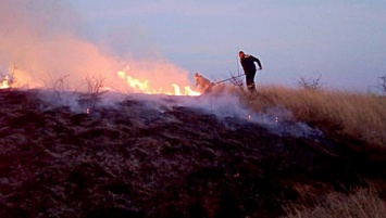 Из-за поджога в заказнике на Николаевщине выгорело 37 га камыша и травы