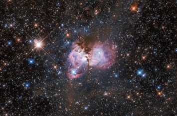 "Хаббл" сделал снимок "звездной колыбели" в туманности Тарантул
