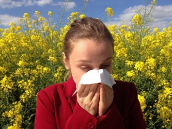 Четыре интересных факта об аллергии