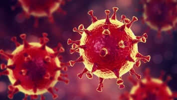 Может ли коронавирус вызвать бесплодие: мнение ученых