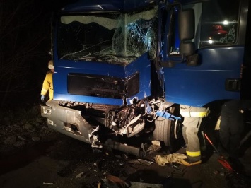 В Запорожской области столкнулись два грузовика - одного из водителей зажало в кабине, - ФОТО