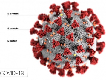 Лекарства от гипертонии могут повышать риск развития коронавируса в тяжелой форме