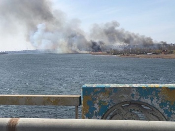 Плавневой пожар: горел камыш в районе Молодежного пляжа
